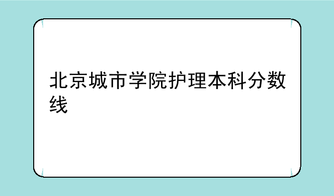 北京城市学院护理本科分数线