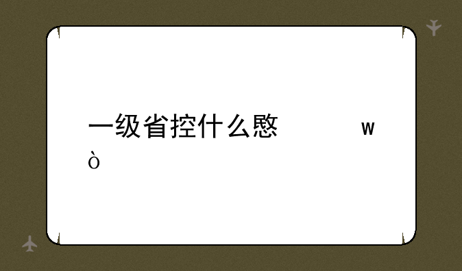 一级省控什么意思？