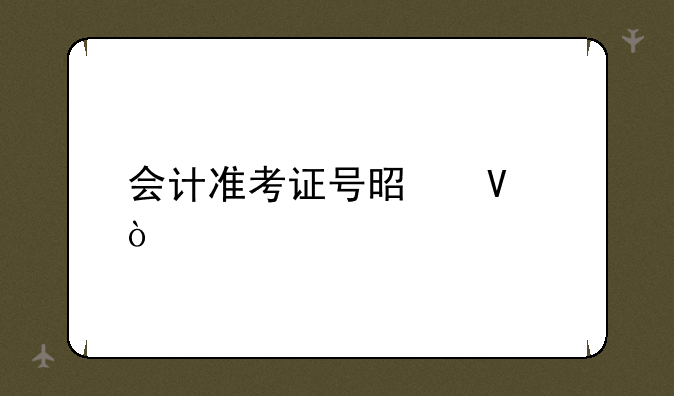 会计准考证号是啥？
