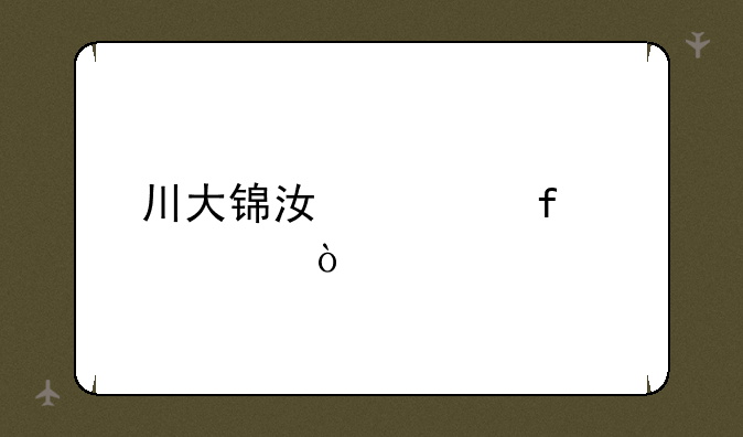 川大锦江学院代码？