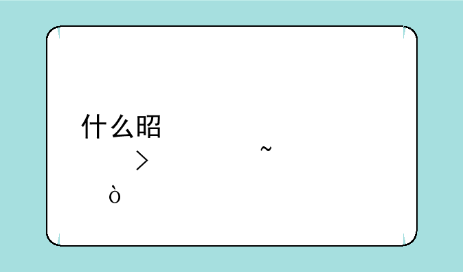 什么是准考证号码查询？