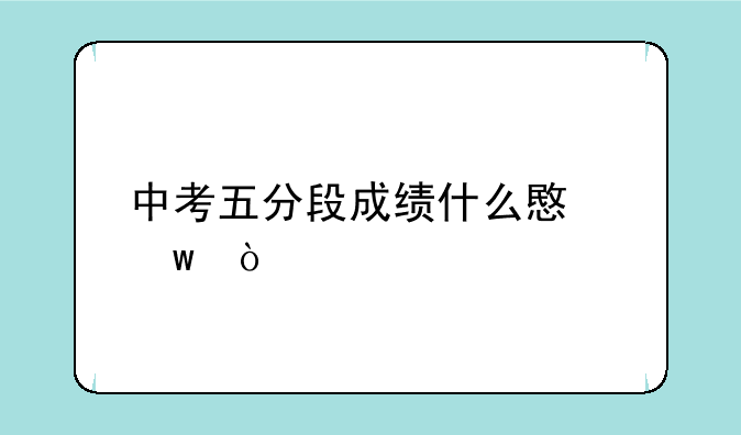 中考五分段成绩什么意思？