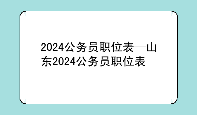 2024公务员职位表—山东2024公务员职位表