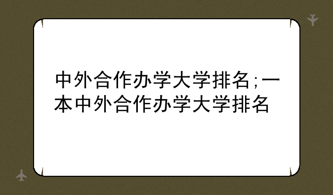 中外合作办学大学排名;一本中外合作办学大学排名