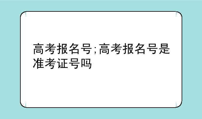 高考报名号;高考报名号是准考证号吗