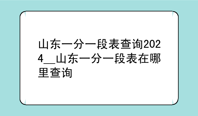 山东一分一段表查询2024__山东一分一段表在哪里查询
